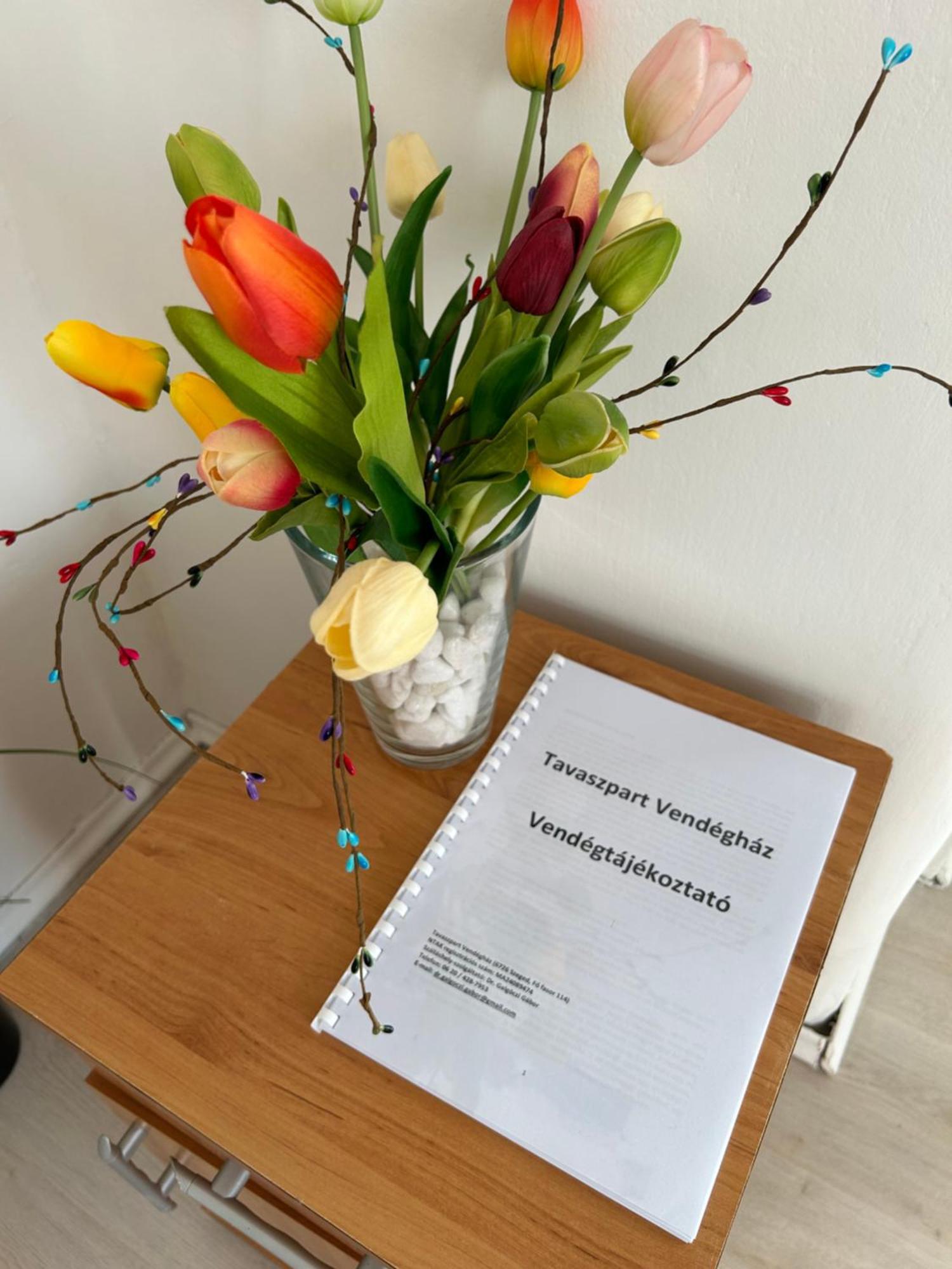 Apartmán Tavaszpart Vendeghaz Segedín Exteriér fotografie