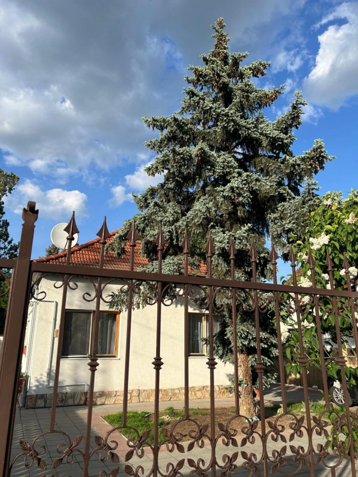 Apartmán Tavaszpart Vendeghaz Segedín Exteriér fotografie
